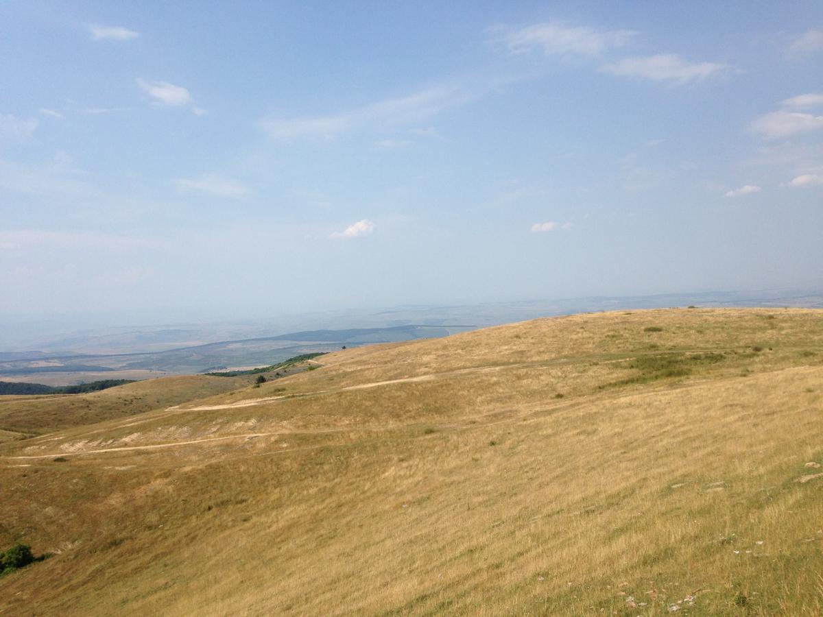 Pensiunea Casa Buna Szászorbó Kültér fotó